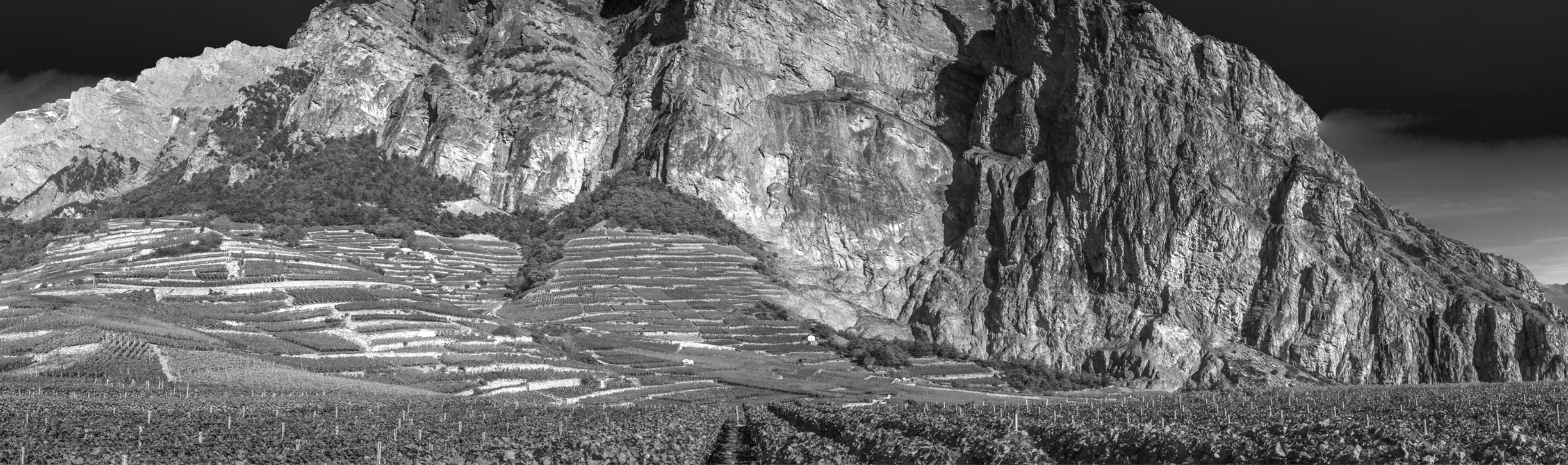 Vignoble Maison Rouge